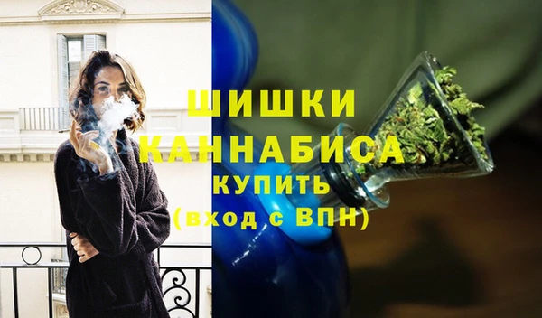 стафф Бородино