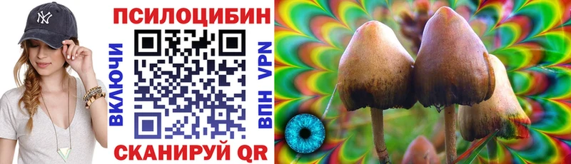 Псилоцибиновые грибы Cubensis  где купить   kraken онион  Волгореченск 