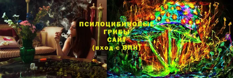 Галлюциногенные грибы MAGIC MUSHROOMS  закладка  Волгореченск 